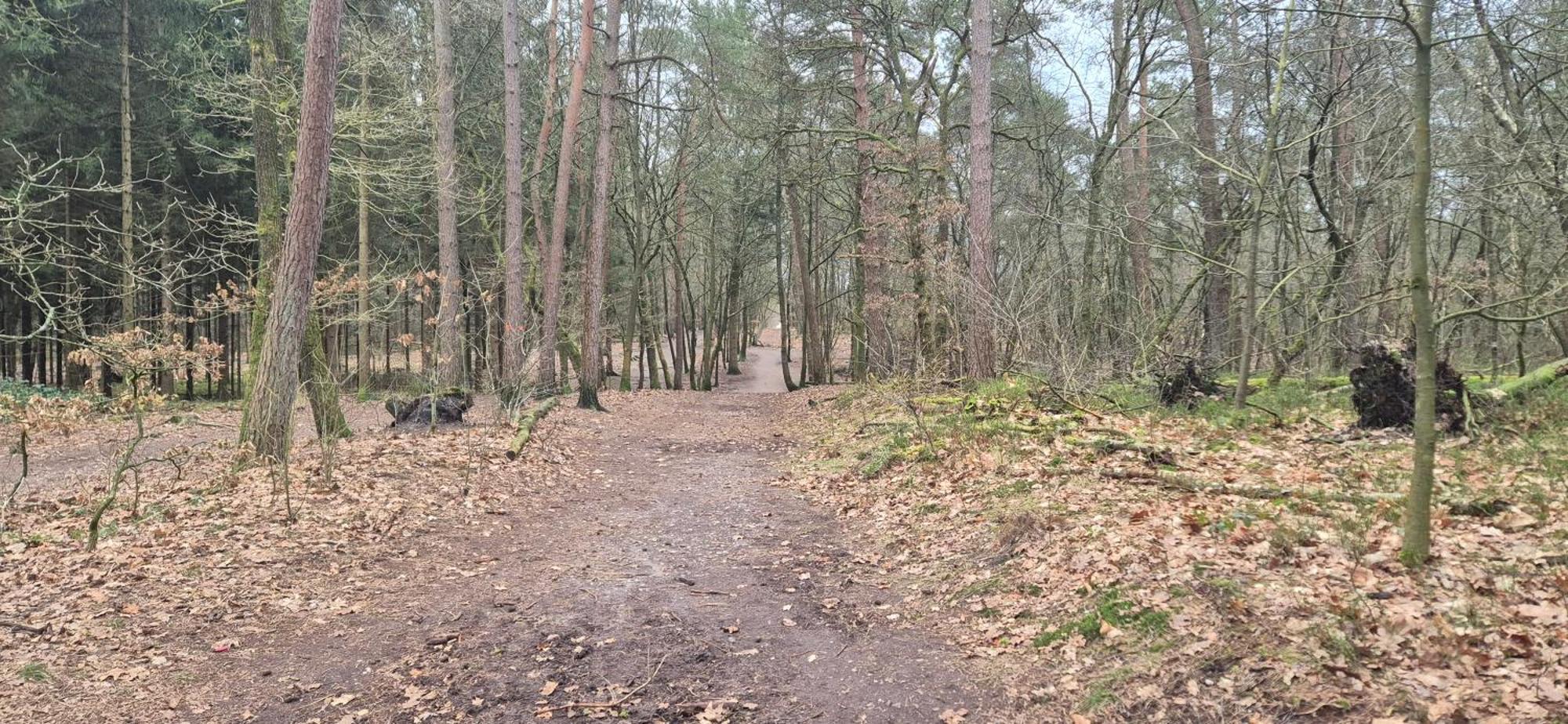 Het Veluwse Boshuisje Knus Chalet Met Omheinde Tuin Op De Veluwe Hoenderloo Exterior foto