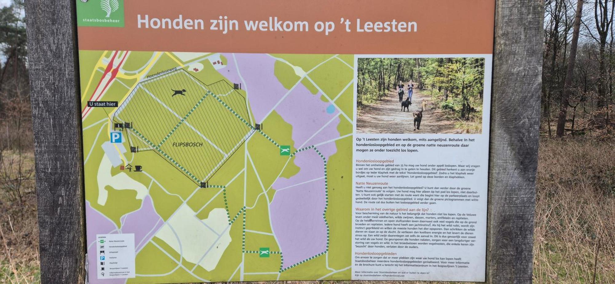 Het Veluwse Boshuisje Knus Chalet Met Omheinde Tuin Op De Veluwe Hoenderloo Exterior foto